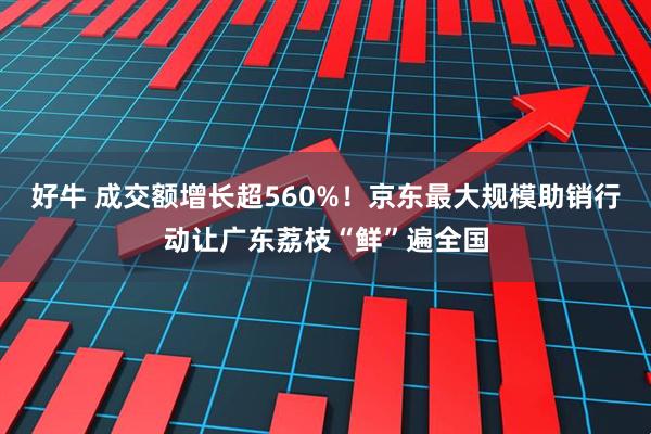好牛 成交额增长超560%！京东最大规模助销行动让广东荔枝“鲜”遍全国