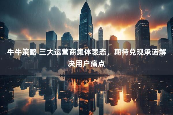 牛牛策略 三大运营商集体表态，期待兑现承诺解决用户痛点