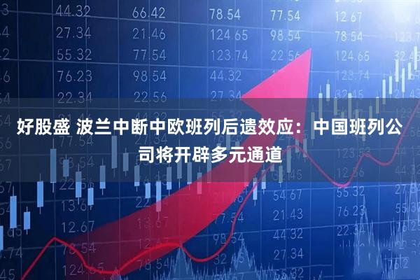 好股盛 波兰中断中欧班列后遗效应：中国班列公司将开辟多元通道