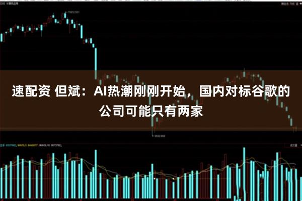 速配资 但斌：AI热潮刚刚开始，国内对标谷歌的公司可能只有两家